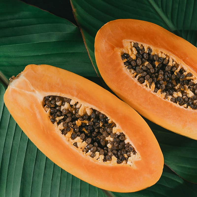 Carica Papaya Seed Oil